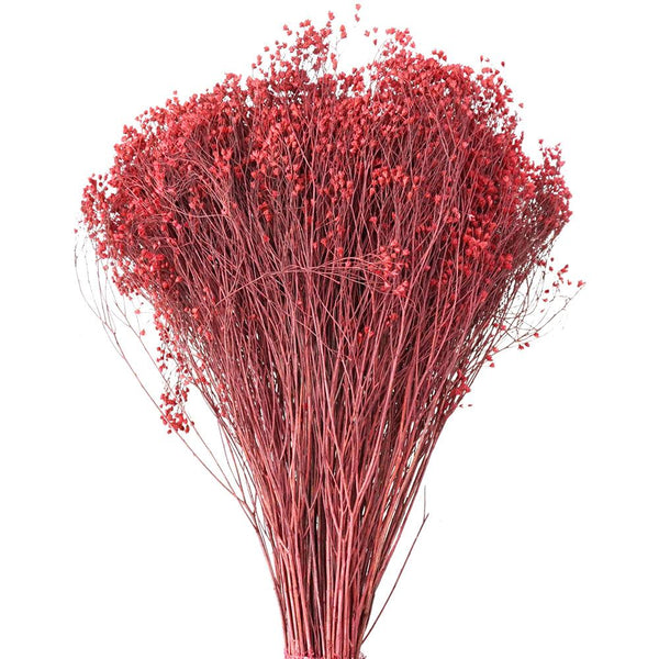 Dried Natural Broom Bloom Flowers Bundle, Berry