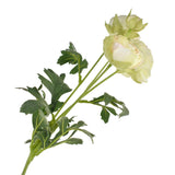 Blooming Silk Buttercup Ranunculus Spray, 27-Inch
