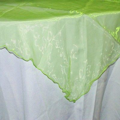 Organza Table Cover Overlay, 80-inch, Apple Green