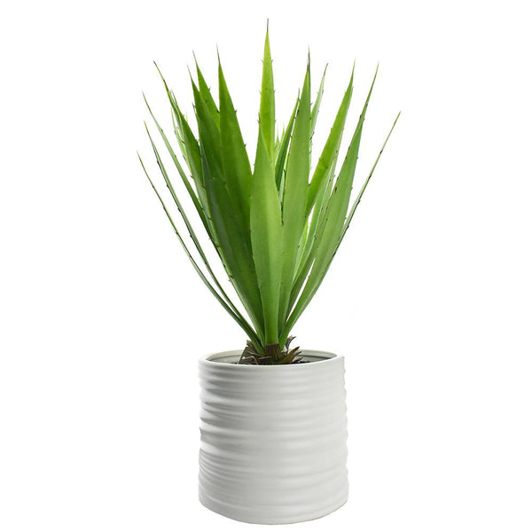 Artificial Yucca with Pot, 17-Inch