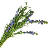 Artificial Foam Rosemary Floral Spray Branch, 33-Inch