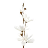 Blooming Foam Magnolia Spray Branch, 38-Inch