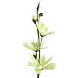 Blooming Foam Magnolia Spray Branch, 38-Inch