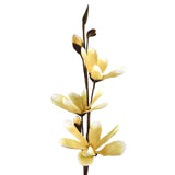 Blooming Foam Magnolia Spray Branch, 38-Inch