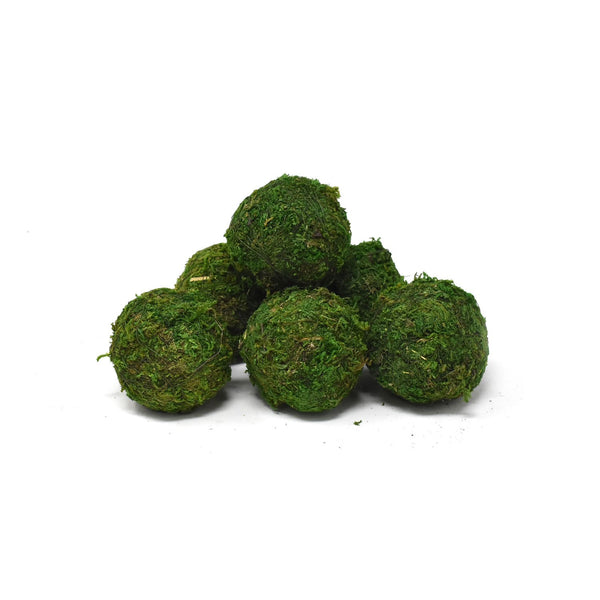 Decorative Moss Coated Balls Bowl Filler, 6-Piece