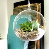 Clear Glass Terrarium Air Plant Home Decor Candle Candle Holder