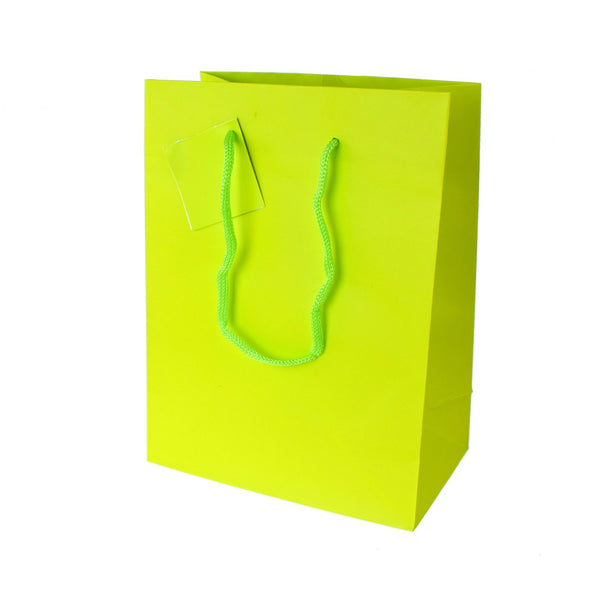 Solid Colored Matte Gift Bags with Tag, 9-1/2-Inch, Apple Green