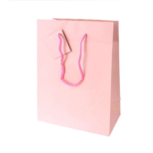 Solid Colored Matte Gift Bag with Tag, Pink, 5-1/4-Inch