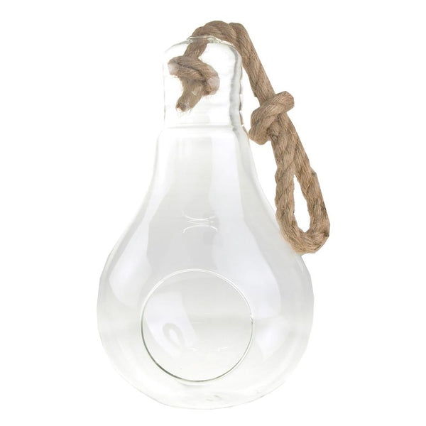 Hanging Glass Light Bulb Terrarium with Jute Rope, Clear, 12-Inch