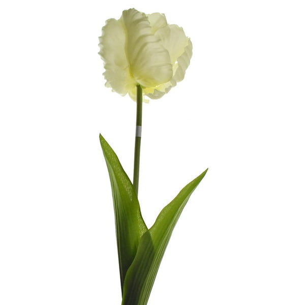 Artificial Parrot Tulip Stem, Cream, 26-Inch