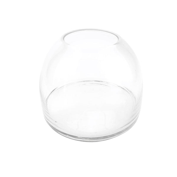 Clear Dome Shaped Glass Terrarium, 7-3/4-Inch [Closeout]