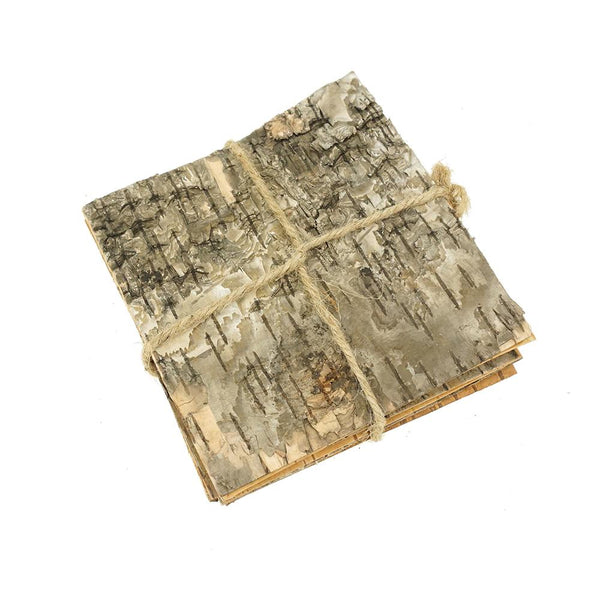 Square Birch Bark Bundle, 6-Inch, 6-Count