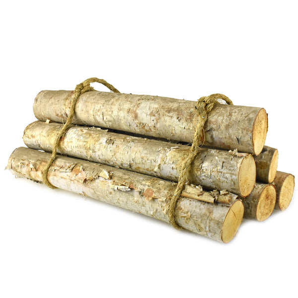 Natural Birch Wood Roped Log Bundle, 18-Inch, 6-Count